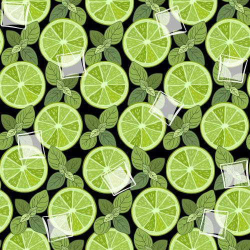 植物。矢量图 青柠片、薄荷叶与冰块在黑色背景上