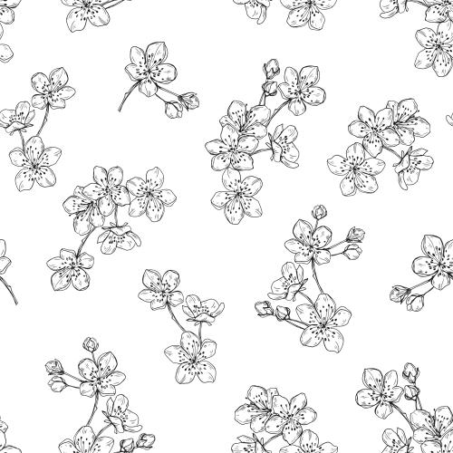 花苞。矢量图 白花和花蕾