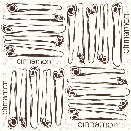 肉桂。矢量图 肉桂棒，白色背景上的“cinnamon”字样