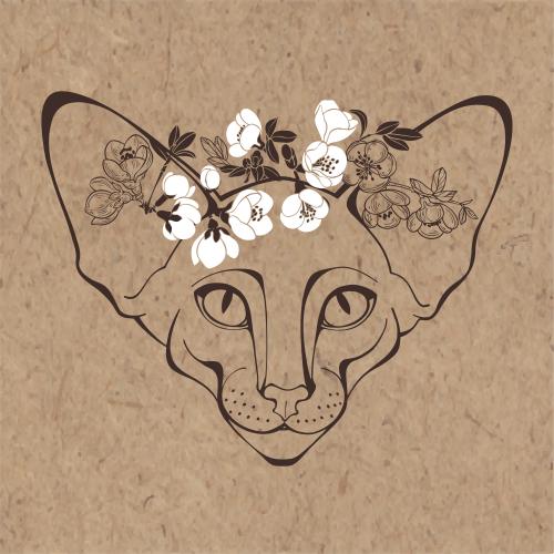 东方猫。矢量图 东方猫，可爱的小脸与绽放的日本花梨枝条牛皮纸手工艺品