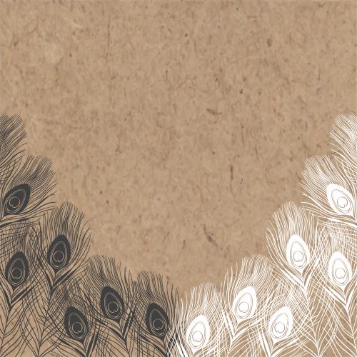 孔雀羽毛。矢量图 孔雀羽毛相框与牛皮纸黑白剪影