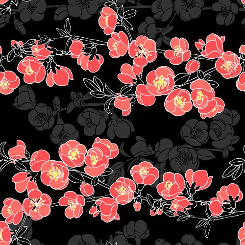 日本木瓜。矢量图 日本木瓜枝带花，黑底