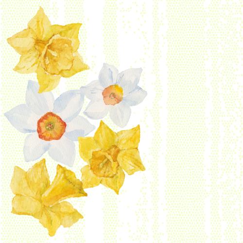 水仙花。矢量图 白黄水仙花，马赛克背景上的文字空间