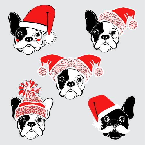 狗。矢量图 法国斗牛犬戴新年帽子的可爱小脸