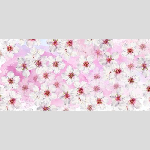 原创位图 粉色水彩背景上的盛开杏花