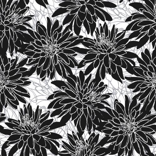 黑眼苏珊花。矢量图 黑眼苏、白底的轮廓与线条