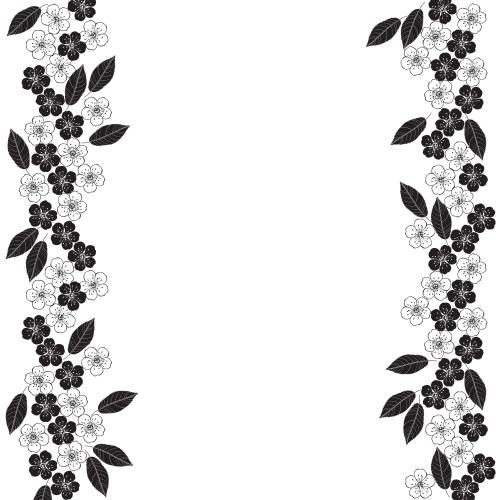 樱花。矢量图 樱花花朵和叶子，白色背景上的文字空间