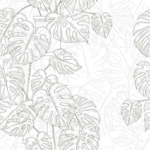 龟背竹。矢量图 白底怪兽