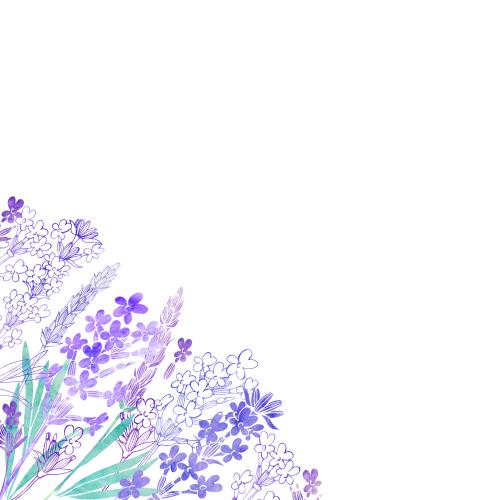 原创位图 水彩薰衣草 留白文字区域 角形构图