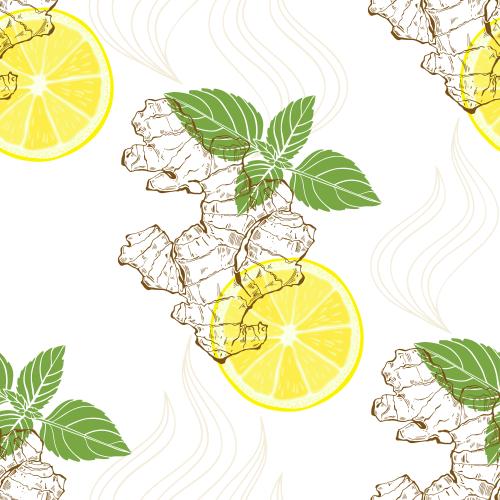 植物。矢量图 姜、柠檬和薄荷白底