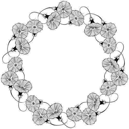 牵牛花。矢量图 牵牛花，白底圆形框