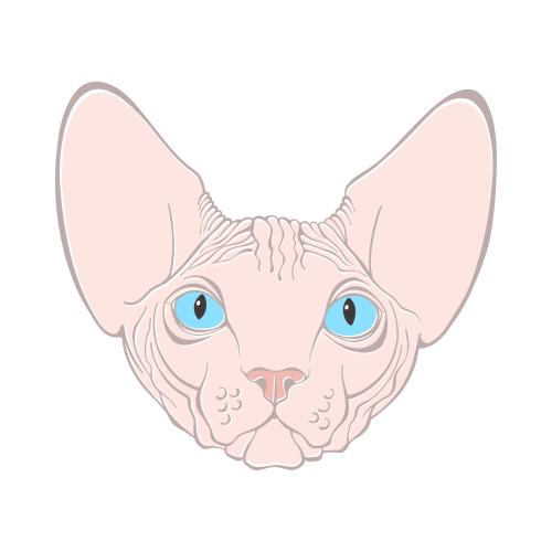 无毛猫。矢量图 斯芬克斯猫，白色背景上的可爱彩色面孔