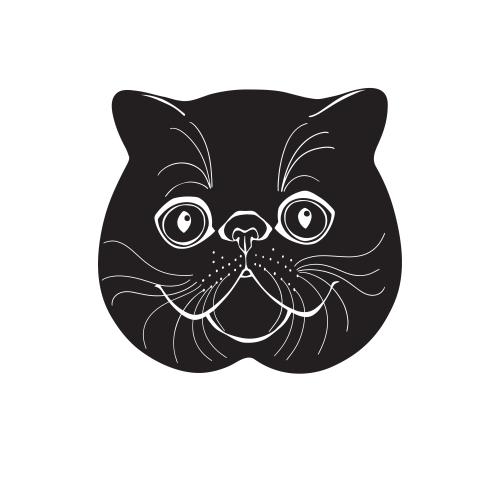 异国短毛猫。矢量图 异国猫俏皮脸庞轮廓白色背景