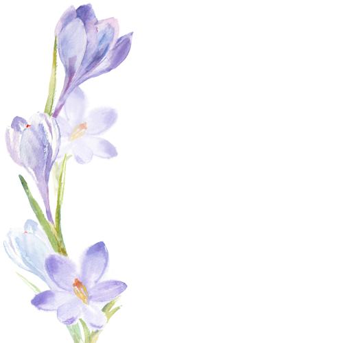 原创位图 水彩小苍花 白色文字空间