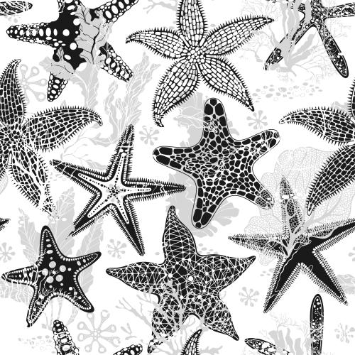 矢量图片 海星、珊瑚、海藻 白底