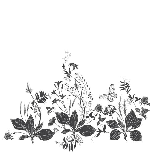 马齿苋。矢量图 车前草, 荠菜, 甘菊, 三叶草, 野花, 蝴蝶, 蜜蜂, 白色文字区