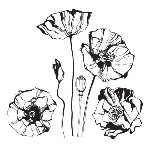 罂粟花。矢量图 白罂粟
