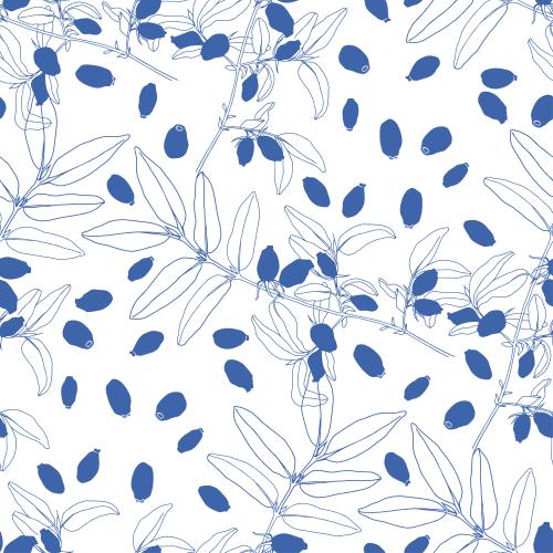 忍冬花。矢量图 忍冬白