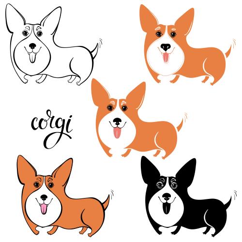 狗。矢量图 白底可爱柯基犬五种款式