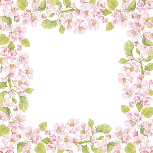 原创位图 水彩苹果花叶方形画框白底