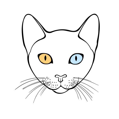 高曼猫。矢量图 猫考奥马尼 白色背景上的可爱脸庞