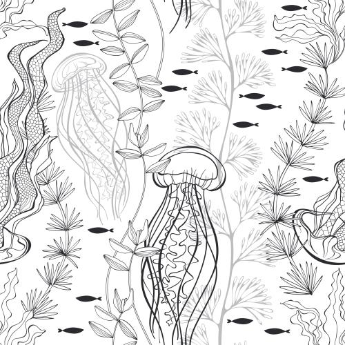 水母。矢量图 海蜇、小鱼、藻类白底