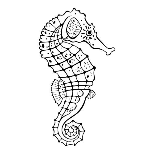 矢量图片 海马,白底黑轮廓