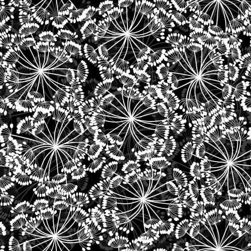 莳萝。矢量图 黑底白灰花伞