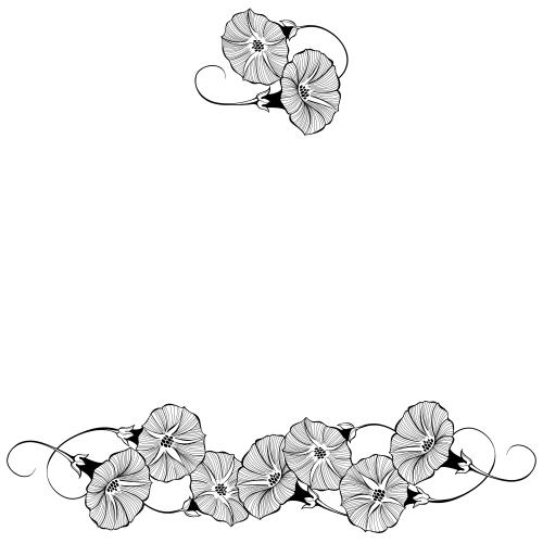 牵牛花。矢量图 藤蔓花白底文案区