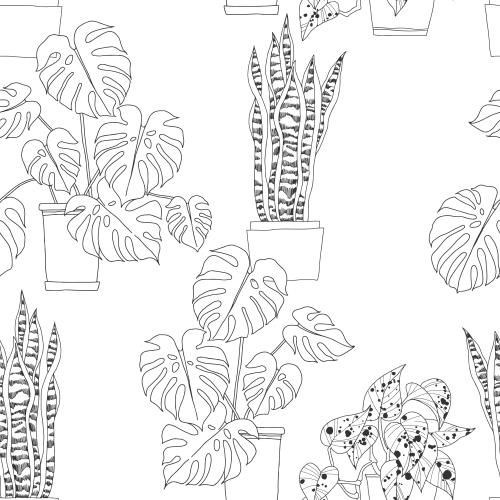 蕨类植物。矢量图 白色花盆中的室内植物