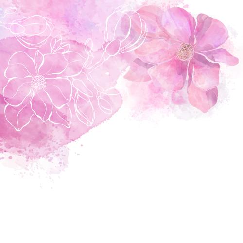 原创位图 木兰花粉色水彩，白色文字区域
