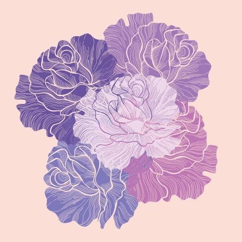 玫瑰花。矢量图 粉色背景的紫红色调玫瑰花束