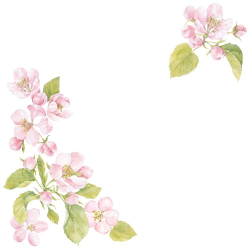 原创位图 水彩苹果花和树叶，白色文字空间，角落构图