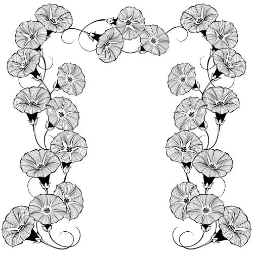 牵牛花。矢量图 维尤诺克 花拱门 可印文字 白色