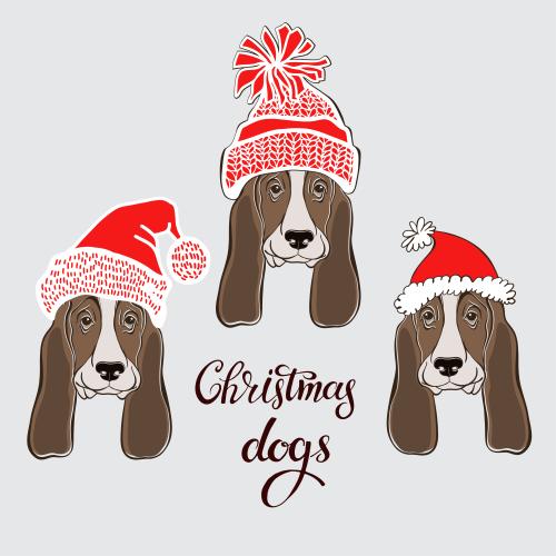 巴吉度猎犬。矢量图 三只可爱的巴塞特猎犬脸在新年帽子里