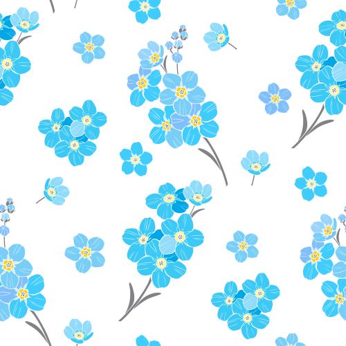 勿忘我花。矢量图 勿忘我 白