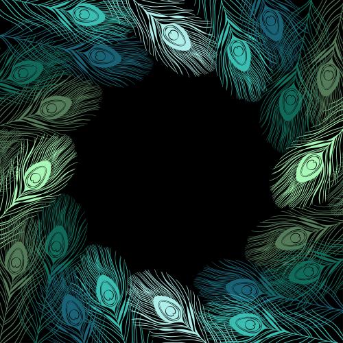 孔雀羽毛。矢量图 圆形彩色孔雀羽毛相框 黑色背景