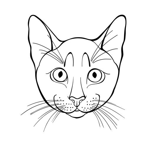 矢量图片 白底猫脸